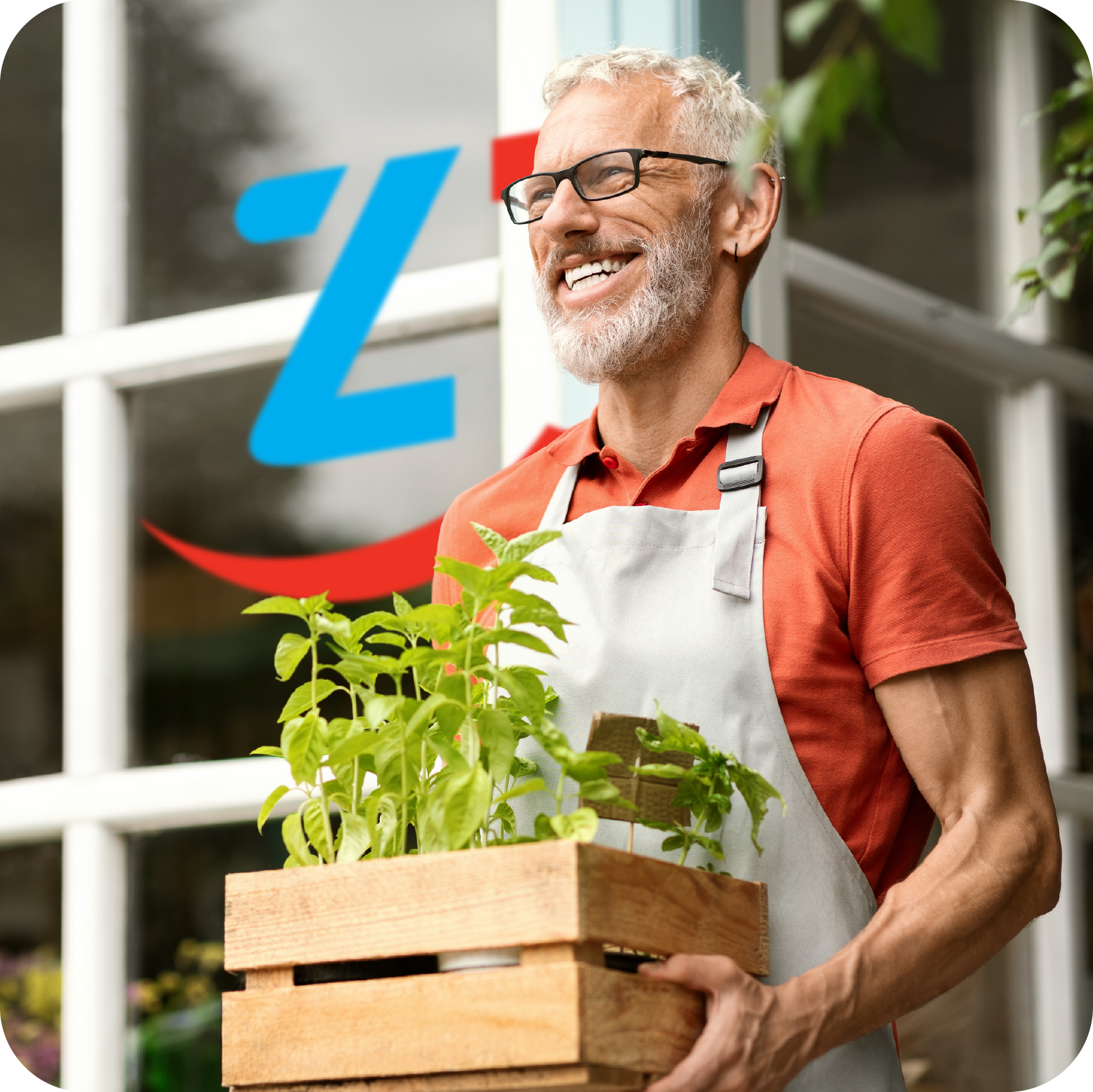 q1 money market_rupert